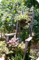 old chair as a planter