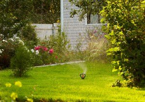 Effective Lawn Watering