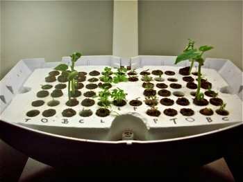 AeroGarden