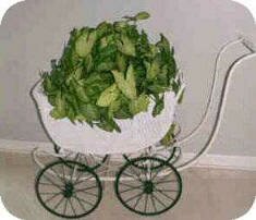 Baby Carriage