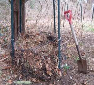 Compost Bin