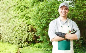 Gardening and using weeds in Composting