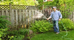 Start Growing an Herb Garden