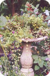 Birdbath