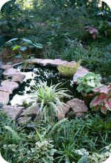 Watergarden