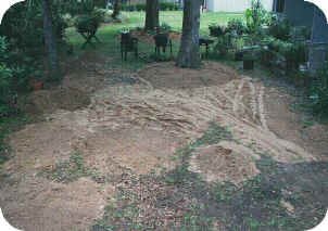 Before Landscaping