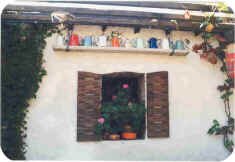 Window with Pots