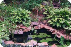 Garden Pond