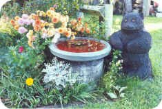 Backyard fountain with bear, surrounded by mums