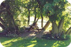 An elder tree enclosure housing a rock garden and picnic table