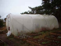 polytunnel